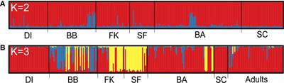 Age-Dependent Dispersal and Relatedness in Tiger Sharks (Galeocerdo cuvier)